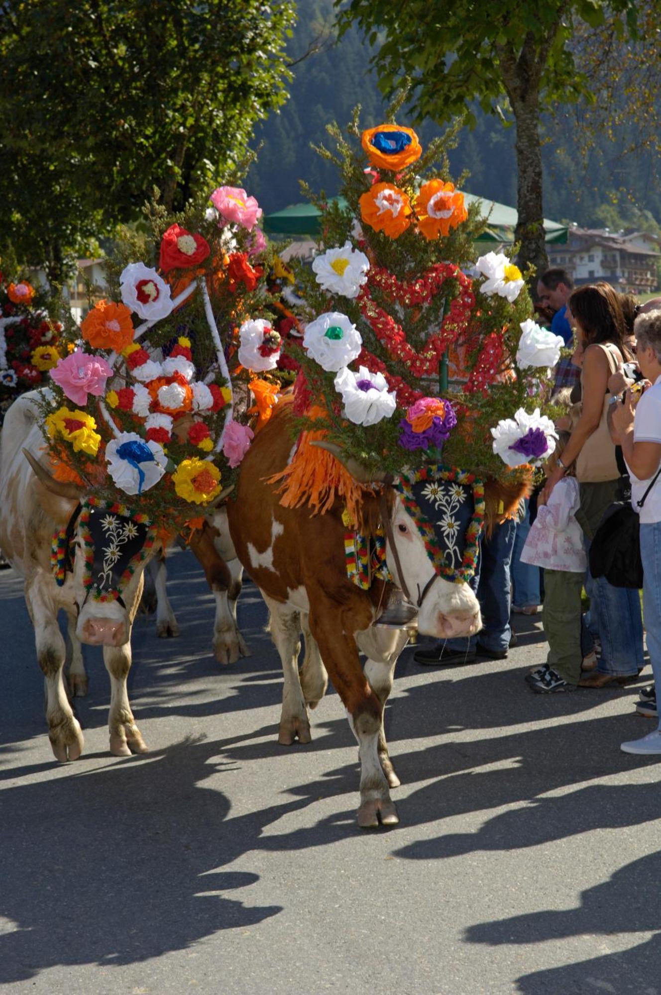 Ferienhotel Tyrol Soell Am Wilden Kaiser Esterno foto